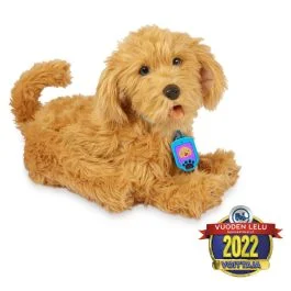 halpahalli202609130727411620851