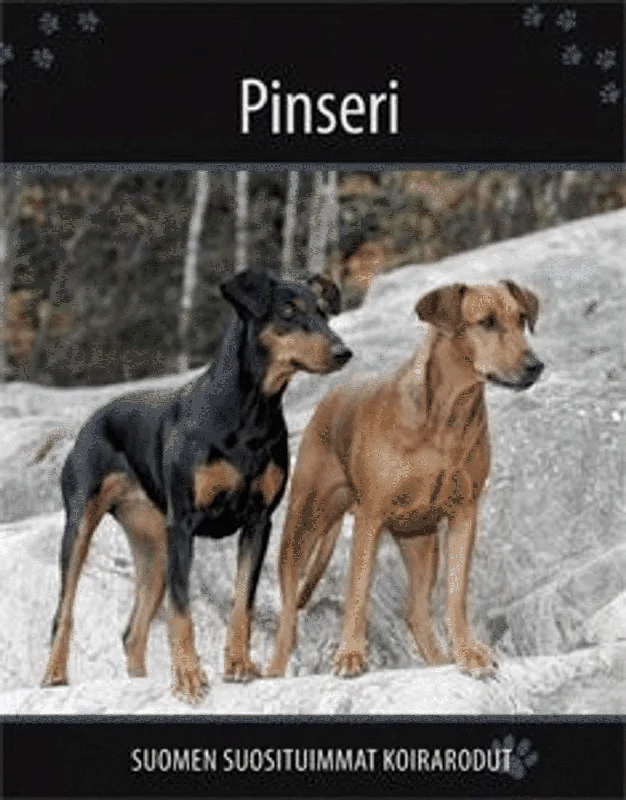 prisma-2202609160531032161628