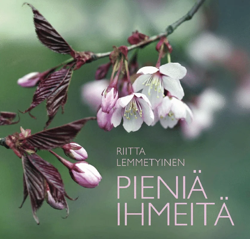 prisma-3202609140433101883793